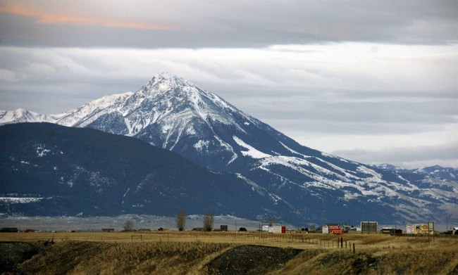 Democrats’ Plan To Remove Montana Senate Nominee Backfires