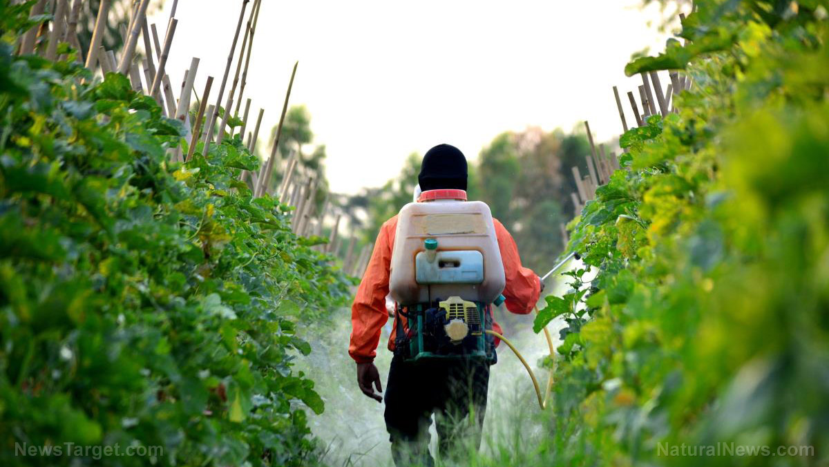 Prenatal pesticide exposure: A silent threat to future generations   – NaturalNews.com