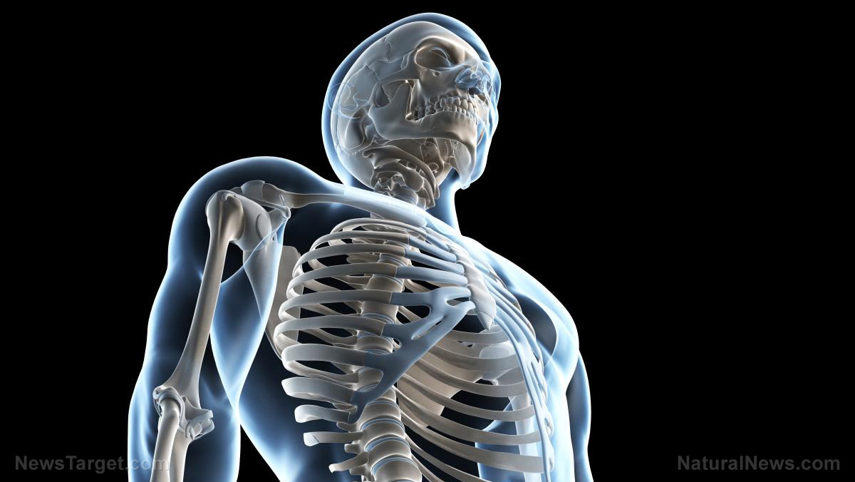 Collagen, vitamin D and calcium: The trio that could save your bones as you age   – NaturalNews.com