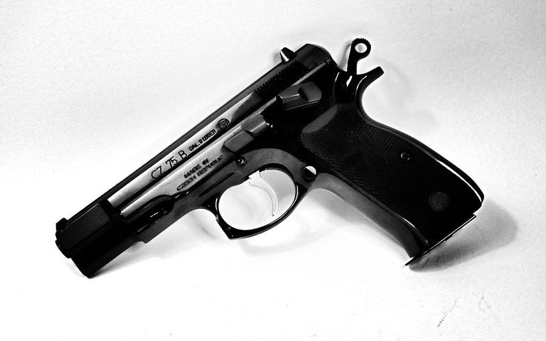 Michigan Removes Over 1,000 Illegal Firearms
