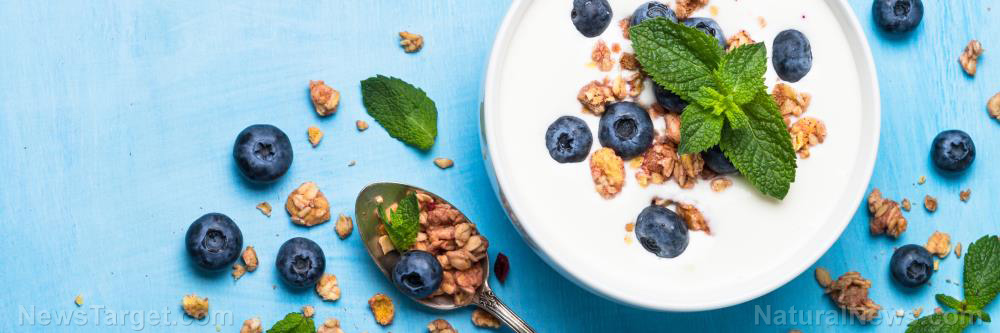 The steady state: Reclaiming health through blood sugar mastery in a sugar-saturated world