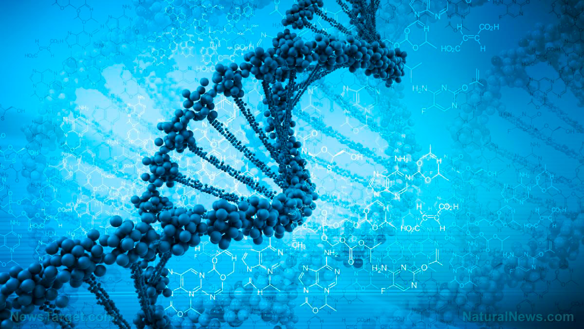 “ATB Personal Restoration Class” on BrightU: The hidden information system that challenges how we understand human biology   – NaturalNews.com