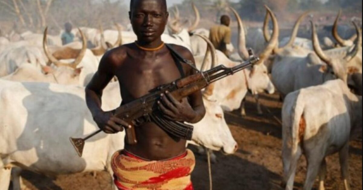 Nigeria Christian Community Leader Alleges Land-Grab Agenda Behind Massacres * The Gateway Pundit * by Antonio Graceffo