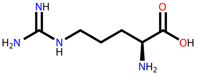 Study: Arginine deficiency may weaken immune system