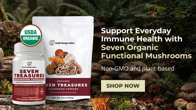 Discover the power of seven premium organic functional mushrooms!