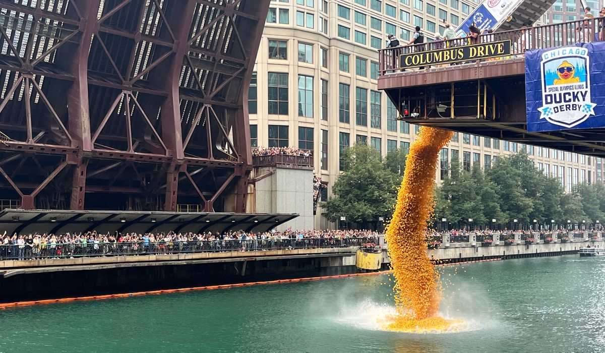 90,000 Rubber Ducks Spill into Chicago River During Ducky Derby