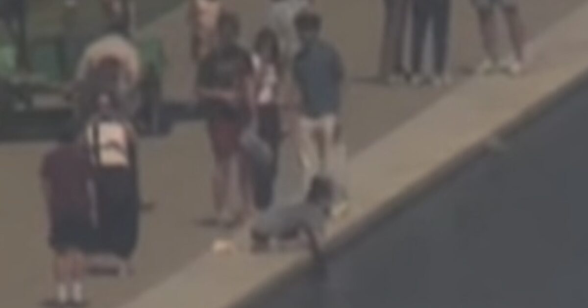 (VIDEO) Trump Posts More Footage of Reflecting Pool Vandalism After Pirro Flop: “Look for yourselves at the VANDALISM” – Burgum Also Slams US Attorney * The Gateway Pundit * by Jordan Conradson
