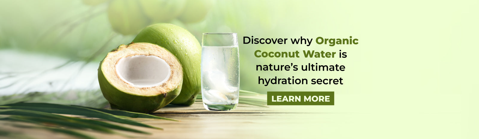 Why Organic Coconut Water is nature’s ultimate hydration secret  – Health Ranger Store