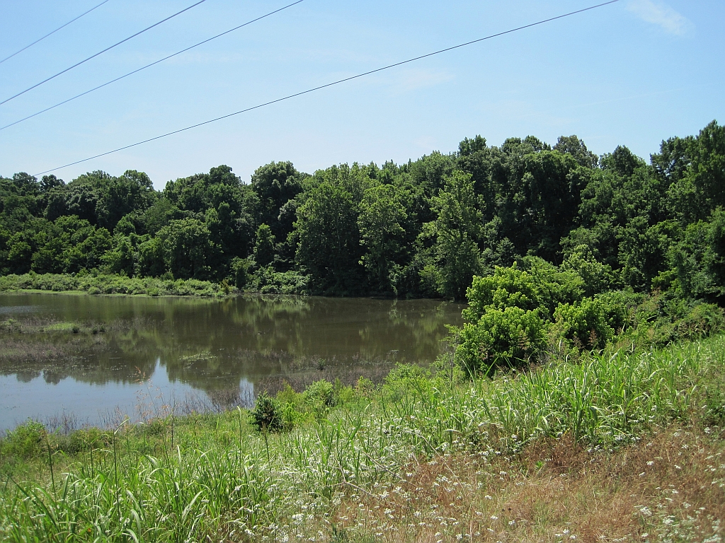 T. O. Fuller State Park Deserves Far More Credit Than It Gets