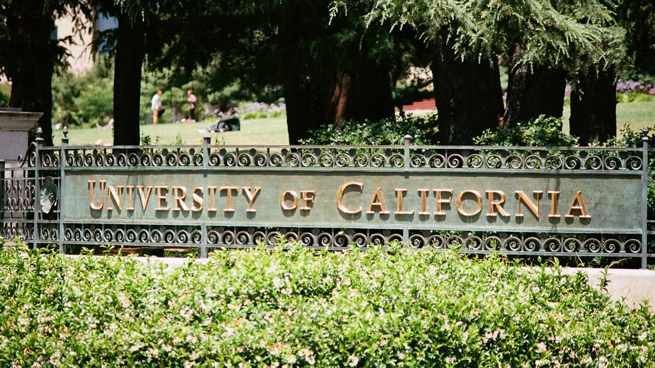 The DEI Admissions Scam Is Catching Up With Elite Universities - The Daily Signal