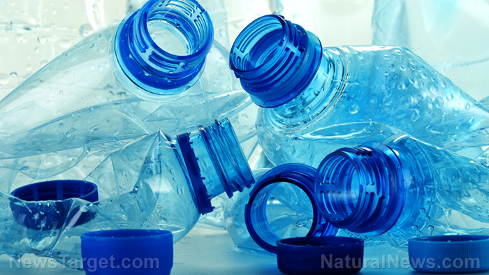 Lab-grown cookies made from plastic slurry raise more questions than answers