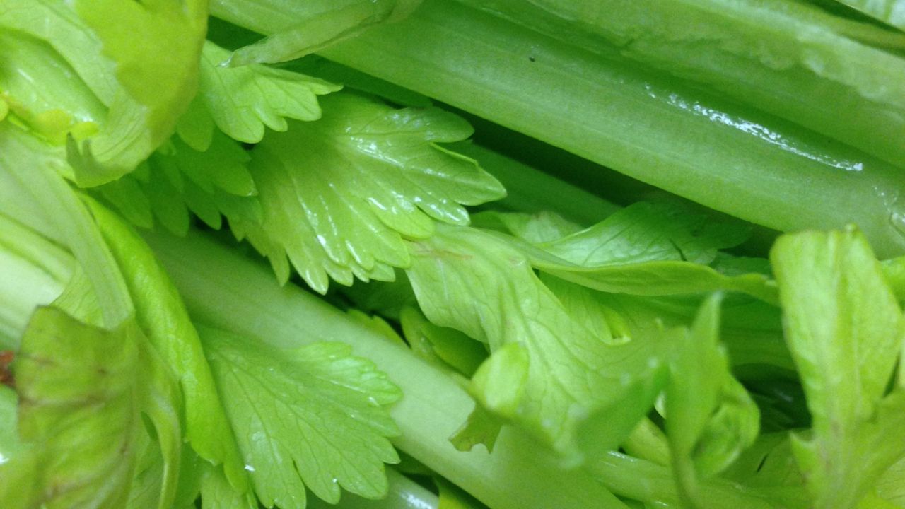 $15M Meth Bust: Border Officers Find 1,675 Pounds Concealed In Fresh Celery Load