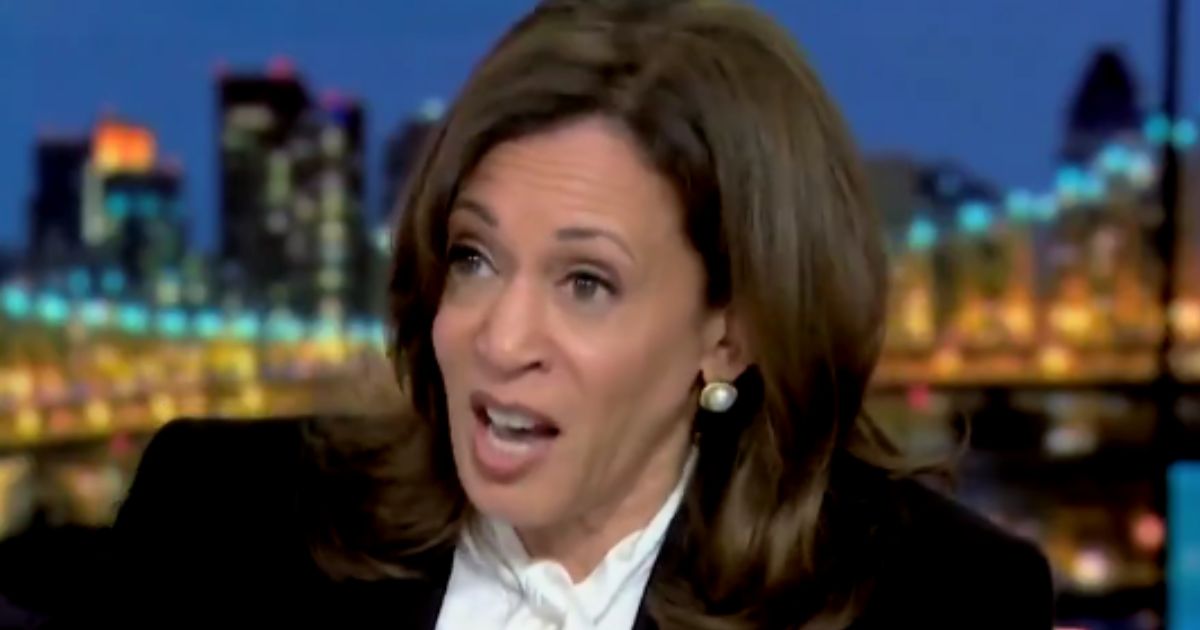 Former DNC Fundraiser Says Democrat Donors Are Not Going to Fund Another Kamala Harris for President Campaign (VIDEO) * The Gateway Pundit * by Mike LaChance