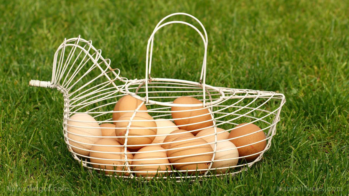 How dioxins in the food chain pose a global health crisis   – NaturalNews.com