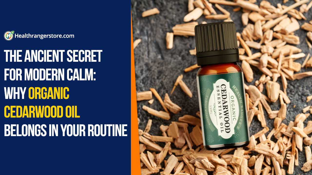 The ancient secret for modern calm: Why Organic Cedarwood Oil belongs in your routine - Brighteon.com