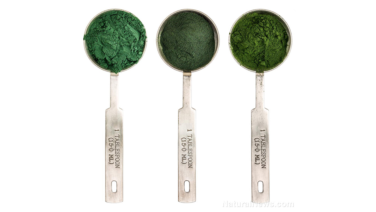“UNBREAKABLE” on Bright U: Chlorella and spirulina’s role in DNA protection   – NaturalNews.com
