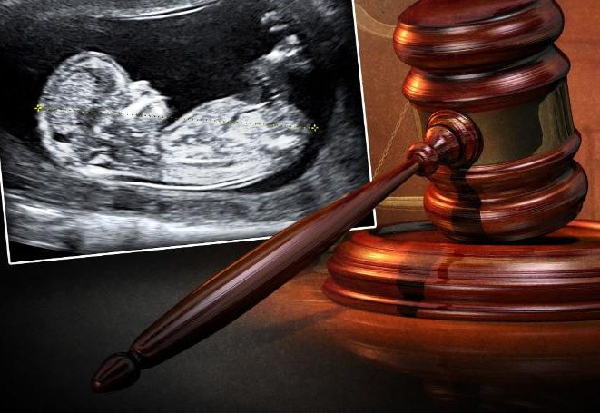 Appeals Court Rules Idaho Can Enforce Abortion Ban to Protect Babies - LifeNews.com