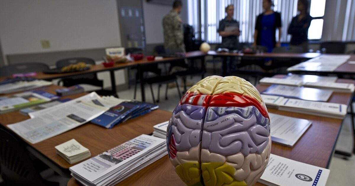 Brain Disease Among Former NFL Players Raises Alarms for Veterans’ Mental Health * The Gateway Pundit * by J.M. Phelps