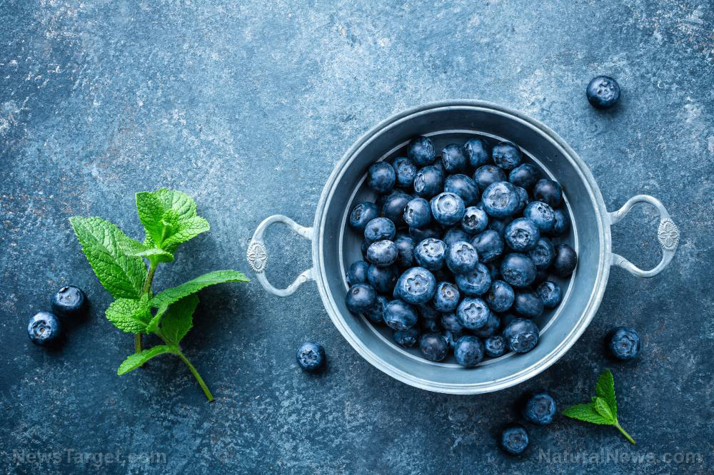 America’s #1 killer meets its match: How blueberries are quietly reversing the hypertension epidemic