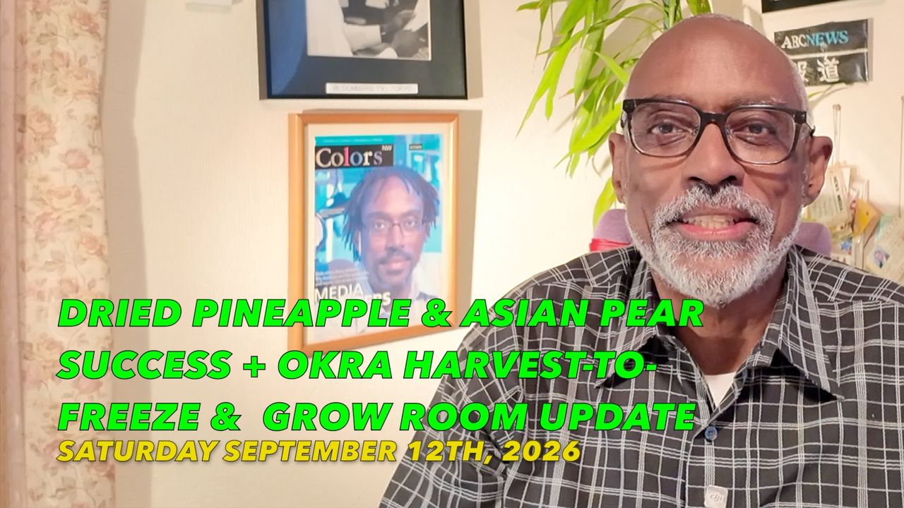 Dried Pineapple & Asian Pear SUCCESS + Okra Harvest-to-Freeze &  Grow Room Update - Brighteon.com