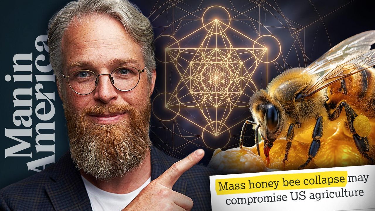 How Frequency & Sacred Geometry Are Saving Bees From Collapse - Brighteon.com