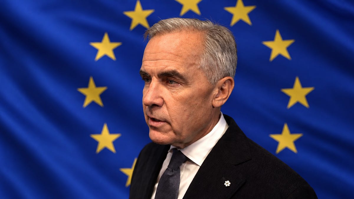 Carney rejects EU membership report, seeks “unique alliance”