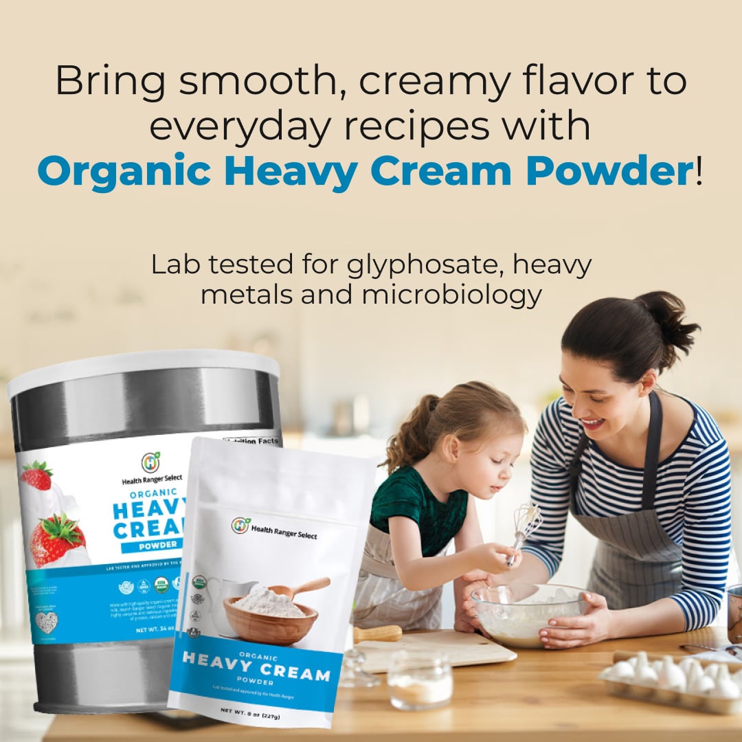 Upgrade Your Pantry with Lab-Verified Organic Heavy Cream Powder