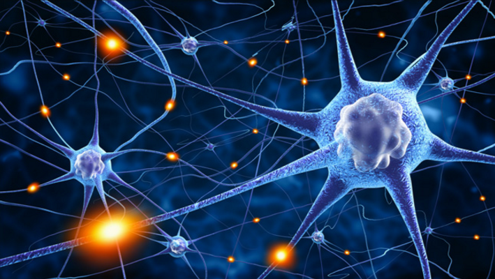 Scientists discover “survival switch” in brain cells that could revolutionize neurodegenerative disease treatment   – NaturalNews.com