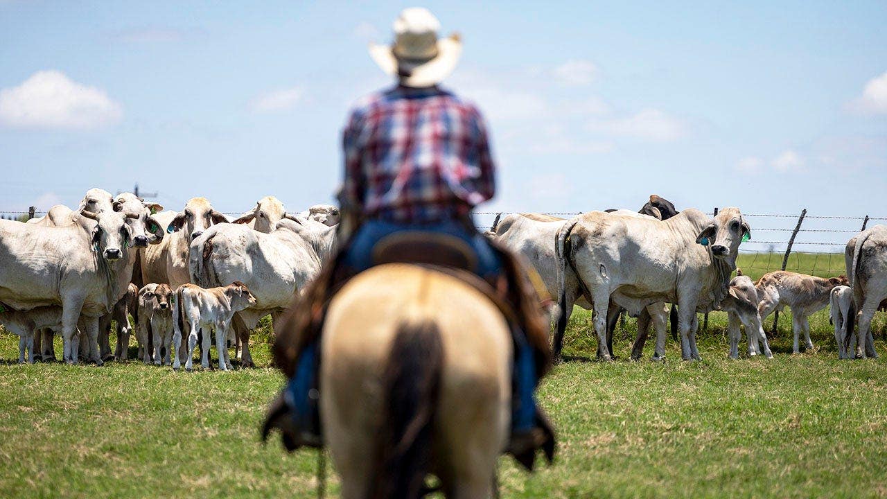 ‘Why would he do this to us?’: Trump's foreign beef push is hurting his base, Republicans warn