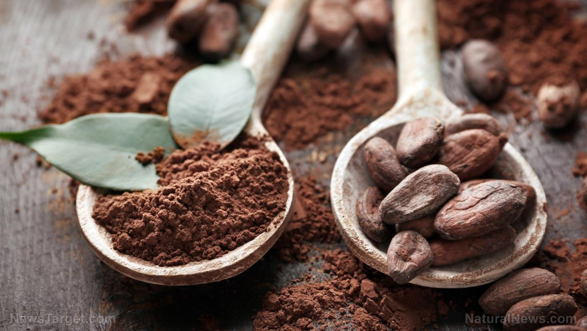 The ancient superfood revolution: Why organic cocoa drink mixes are taking the wellness world by storm   – NaturalNews.com