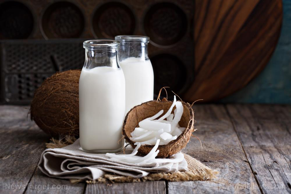 Rethinking what “milk” means in your kitchen: Reasons to try organic coconut milk powder