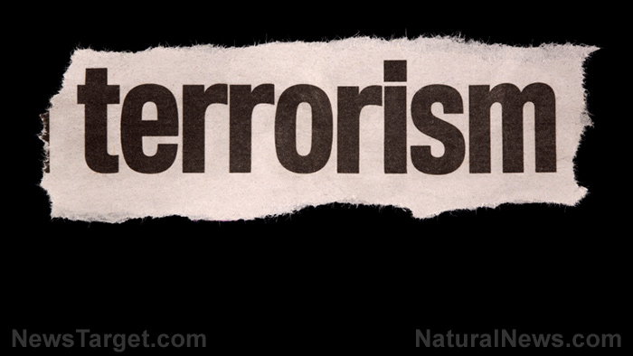 FSB accuses Kyiv, London of plotting terror attack on British ambassador in Moscow