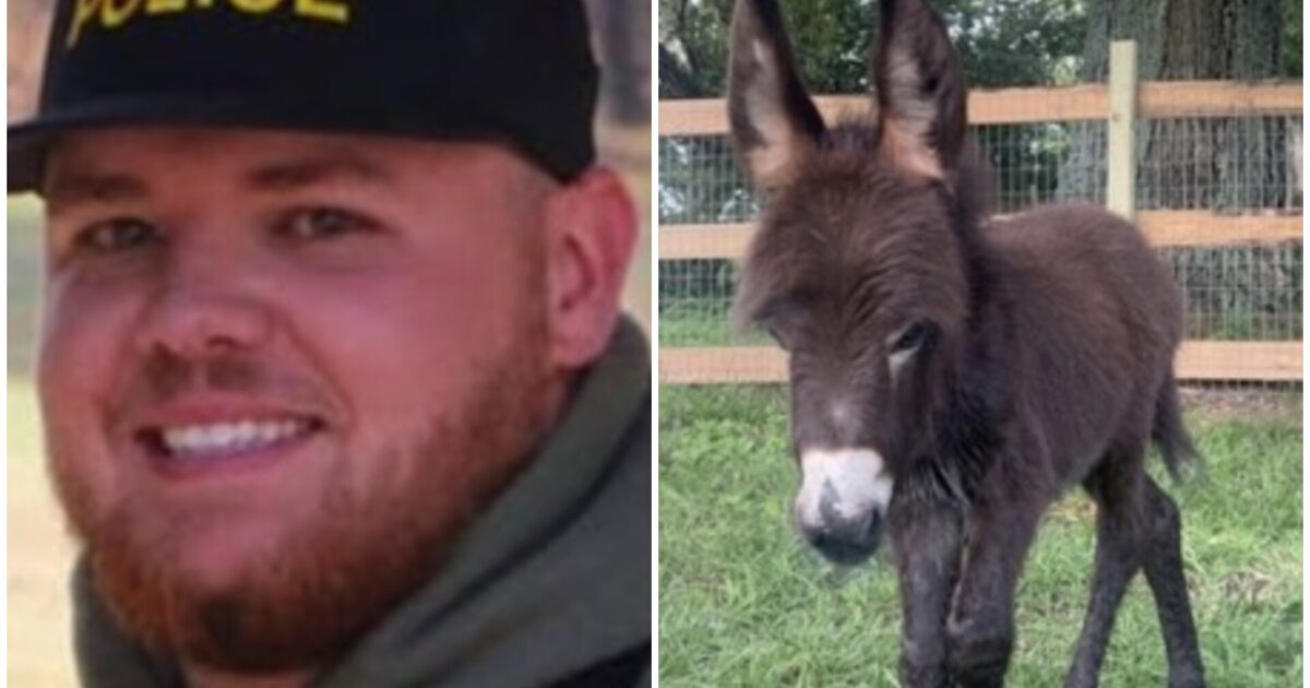 Report Reveals the Georgia Cop Who Killed Family’s Adorable Baby Donkey and His Stated ‘Reason’ for Taking the Animal’s Life * The Gateway Pundit * by Cullen Linebarger