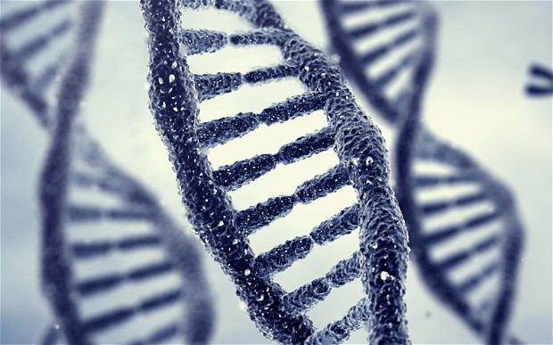 “UNBREAKABLE” on Bright U: When DNA damage crosses into the next generation   – NaturalNews.com