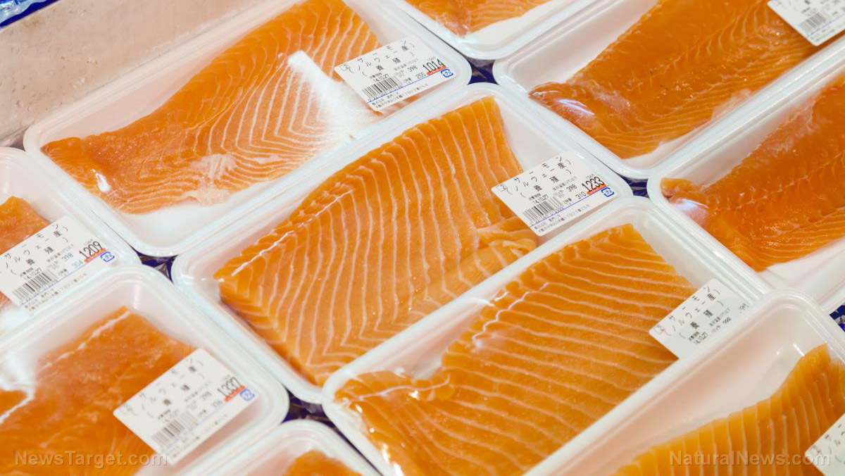 Lawsuit alleges “Mama Bear” salmon’s “sustainable” label hides environmental destruction in Chile   – NaturalNews.com