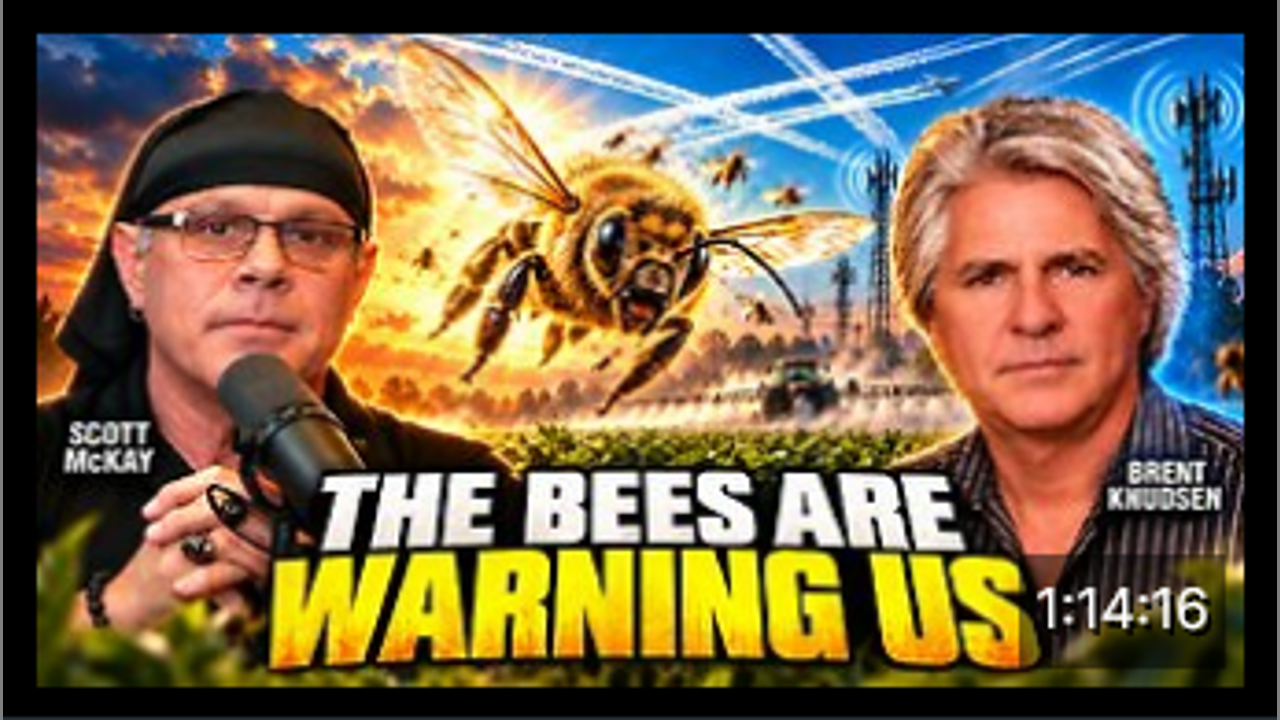 10.9.26 - THE BEES ARE WARNING US! with Patriot Streetfighter Scott McKay & Brent Knudsen - Brighteon.com