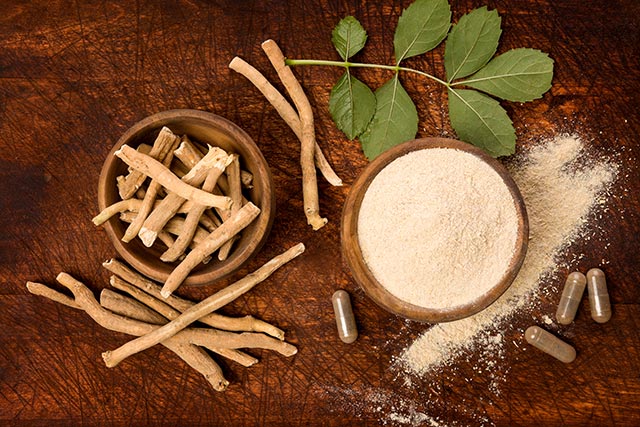 Ashwagandha: The timeless herb fusing ancient wisdom and modern wellness   – NaturalNews.com