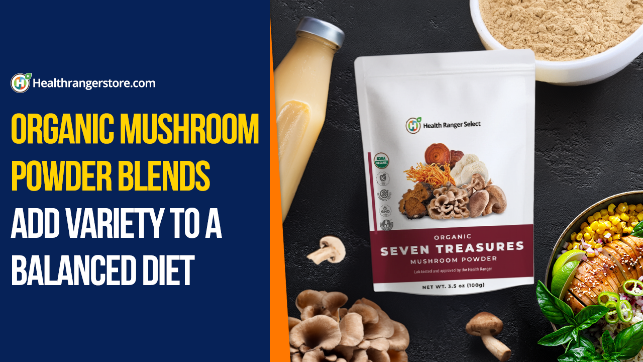 Organic Mushroom Powder Blends add variety to a balanced diet - Brighteon.com