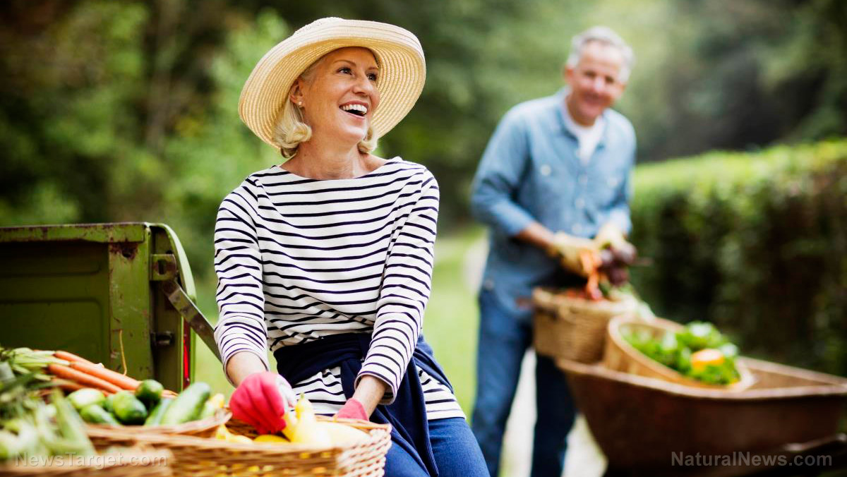 Heirloom seeds: A practical addition to any emergency preparedness plan